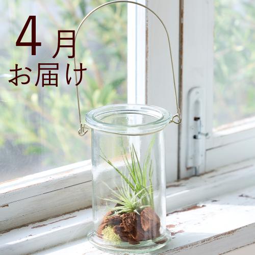 �y�t����n�߂邨�Ԃ̒���ցz�������ȃC���e���A�O���[���R�[�X�i2026�N4���`2026�N9���j