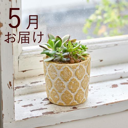 �y�t����n�߂邨�Ԃ̒���ցz�������ȃC���e���A�O���[���R�[�X�i2026�N4���`2026�N9���j2