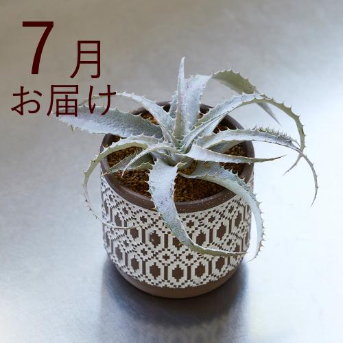 �y�t����n�߂邨�Ԃ̒���ցz�������ȃC���e���A�O���[���R�[�X�i2026�N4���`2026�N9���j4