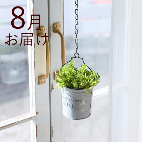 �y�t����n�߂邨�Ԃ̒���ցz�������ȃC���e���A�O���[���R�[�X�i2026�N4���`2026�N9���j5