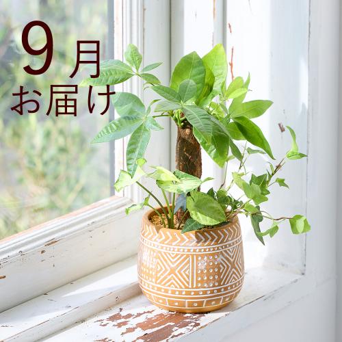 �y�t����n�߂邨�Ԃ̒���ցz�������ȃC���e���A�O���[���R�[�X�i2026�N4���`2026�N9���j6