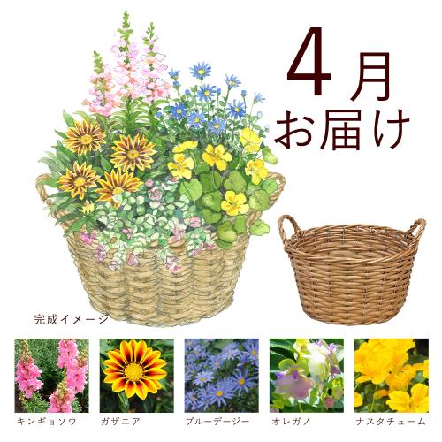 �y�t����n�߂邨�Ԃ̒���ցz�K�[�f�j���O�R�[�X�i������j�R�[�X�i2026�N4���`2026�N9���j