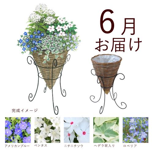 �y�t����n�߂邨�Ԃ̒���ցz�K�[�f�j���O�R�[�X�i������j�R�[�X�i2026�N4���`2026�N9���j3