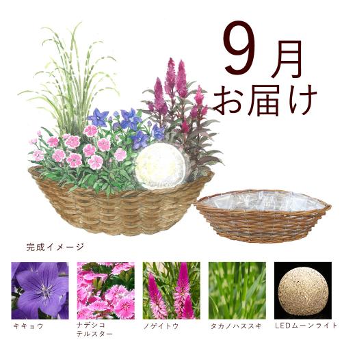 �y�t����n�߂邨�Ԃ̒���ցz�K�[�f�j���O�R�[�X�i������j�R�[�X�i2026�N4���`2026�N9���j6