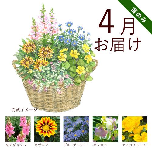 �y�t����n�߂邨�Ԃ̒���ցz�K�[�f�j���O�R�[�X�i�c�̂݁j�R�[�X�i2026�N4���`2026�N9���j