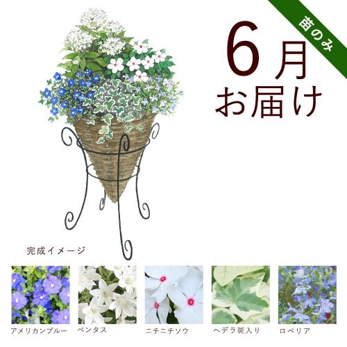 �y�t����n�߂邨�Ԃ̒���ցz�K�[�f�j���O�R�[�X�i�c�̂݁j�R�[�X�i2026�N4���`2026�N9���j3