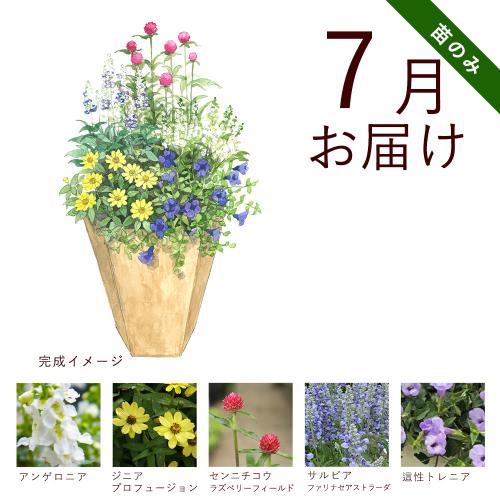 �y�t����n�߂邨�Ԃ̒���ցz�K�[�f�j���O�R�[�X�i�c�̂݁j�R�[�X�i2026�N4���`2026�N9���j4