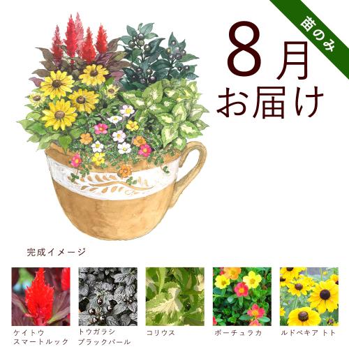 �y�t����n�߂邨�Ԃ̒���ցz�K�[�f�j���O�R�[�X�i�c�̂݁j�R�[�X�i2026�N4���`2026�N9���j5