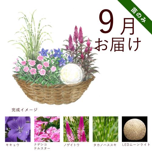 �y�t����n�߂邨�Ԃ̒���ցz�K�[�f�j���O�R�[�X�i�c�̂݁j�R�[�X�i2026�N4���`2026�N9���j6