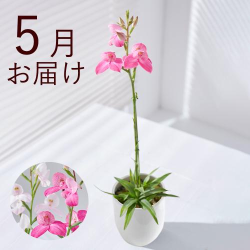 �y�t����n�߂邨�Ԃ̒���ցz�؂₩�e�[�u���I�[�L�b�h�R�[�X�i2026�N4���`2026�N9���j2