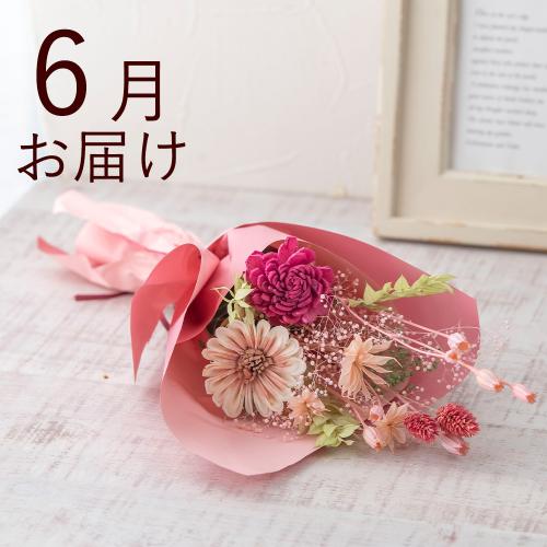 �y�t����n�߂邨�Ԃ̒���ցz�v���U�[�u�h���h���C�t�����[�L�b�g�R�[�X�i2026�N4���`2026�N9���j3