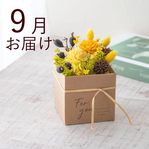 �y�t����n�߂邨�Ԃ̒���ցz�v���U�[�u�h���h���C�t�����[�L�b�g�R�[�X�i2026�N4���`2026�N9���j6