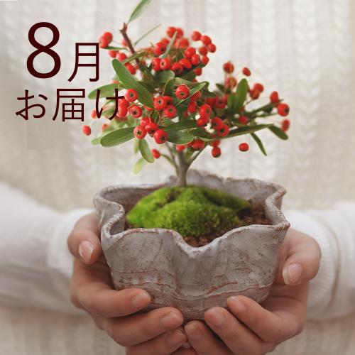 �y�t����n�߂邨�Ԃ̒���ցz�Ă̂Ђ�~�̓R�[�X�i2026�N4���`2026�N9���j5