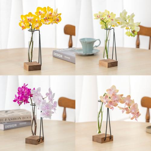 �y�t����n�߂邨�Ԃ̒���ցz���̐؂�ԃR�[�X�i2026�N4���`2026�N9���j