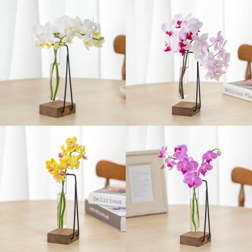 �y�t����n�߂邨�Ԃ̒���ցz���̐؂�ԃR�[�X�i2026�N4���`2026�N9���j2