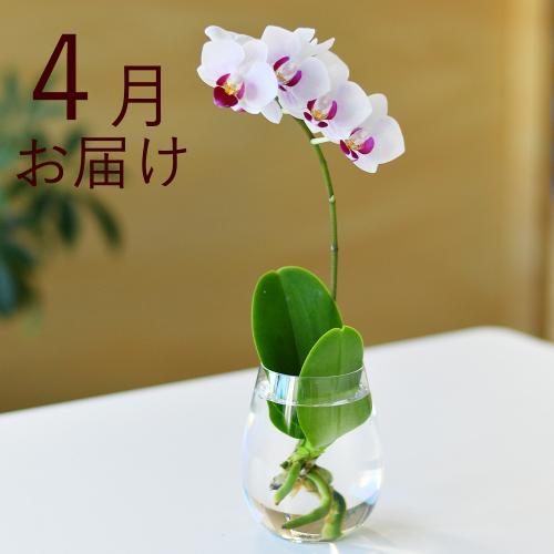 �y�t����n�߂邨�Ԃ̒���ցz���k�͔|�i�~�j�Ӓ������A���X���E���j3�����R�[�X