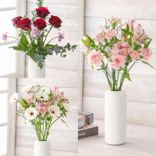 �y�t����n�߂邨�Ԃ̒���ցz���܂����؂�ԃR�[�X�i2026�N4���`2026�N6���j