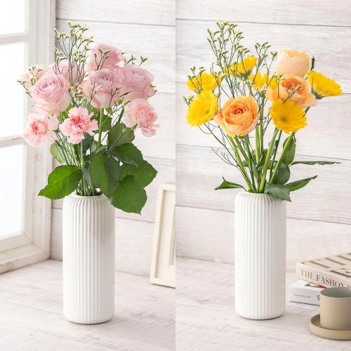 �y�t����n�߂邨�Ԃ̒���ցz���܂����؂�ԃR�[�X�i2026�N4���`2026�N6���j2