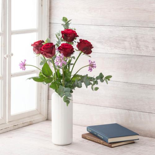 �y�t����n�߂邨�Ԃ̒���ցz���܂����؂�ԃR�[�X�i2026�N4���`2026�N6���j3