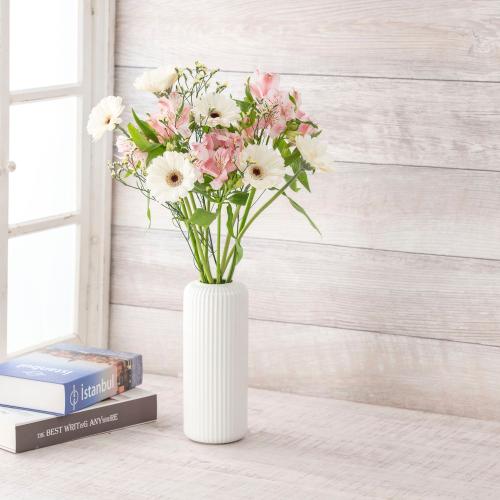 �y�t����n�߂邨�Ԃ̒���ցz���܂����؂�ԃR�[�X�i2026�N4���`2026�N6���j6