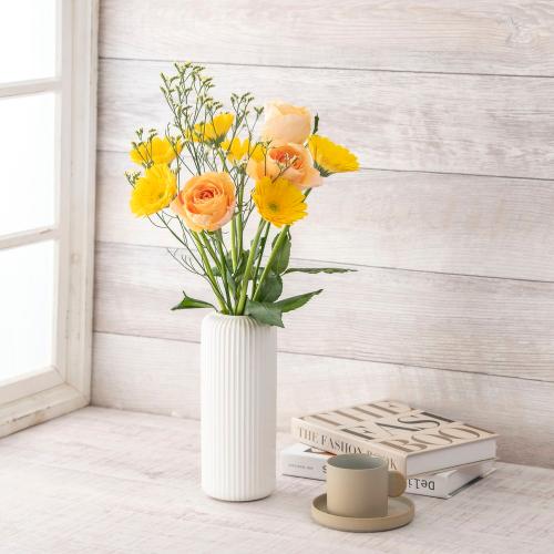 �y�t����n�߂邨�Ԃ̒���ցz���܂����؂�ԃR�[�X�i2026�N4���`2026�N6���j7