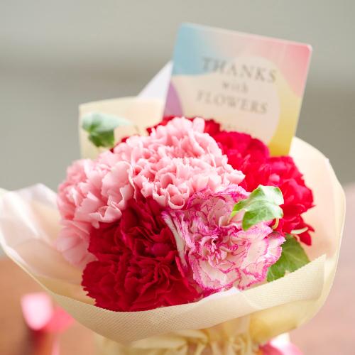 ���̂܂܏����u�[�P���蓰�G������J�X�e�[���y��̓��E���̓��Z�b�g�z4