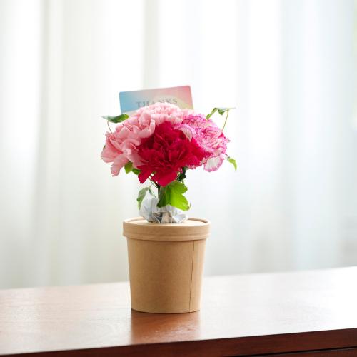 ���̂܂܏����u�[�P���蓰�G������J�X�e�[���y��̓��E���̓��Z�b�g�z5