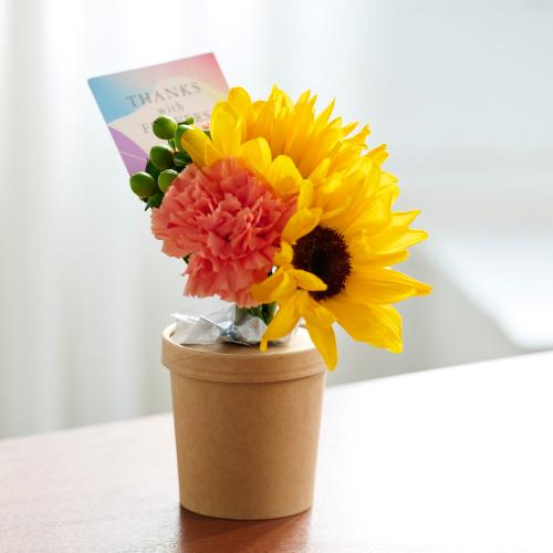 ���̂܂܏����u�[�P���蓰�G������J�X�e�[���y��̓��E���̓��Z�b�g�z7