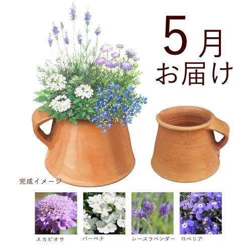 �y�t����n�߂邨�Ԃ̒���ցz�񂹐A���K�[�f���R�[�X�i2026�N5���`2026�N9���j