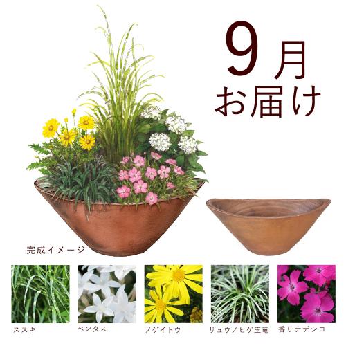 �y�t����n�߂邨�Ԃ̒���ցz�񂹐A���K�[�f���R�[�X�i2026�N5���`2026�N9���j5