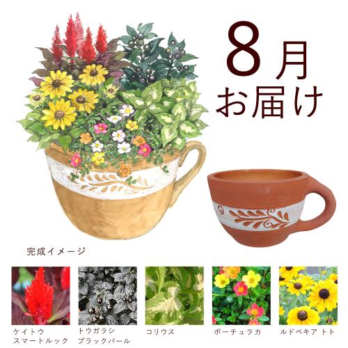 �y�t����n�߂邨�Ԃ̒���ցz�K�[�f�j���O�R�[�X�i������j�R�[�X�i2026�N5���`2026�N9���j4