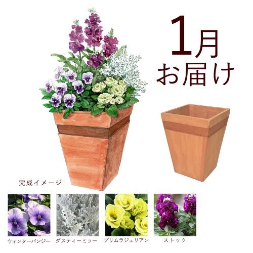 �y�H����n�߂邨�Ԃ̒���ցz �񂹐A���K�[�f���R�[�X�i2026�N10���`2027�N3���j4