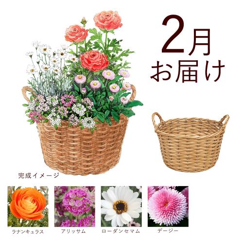 �y�H����n�߂邨�Ԃ̒���ցz �񂹐A���K�[�f���R�[�X�i2026�N10���`2027�N3���j5