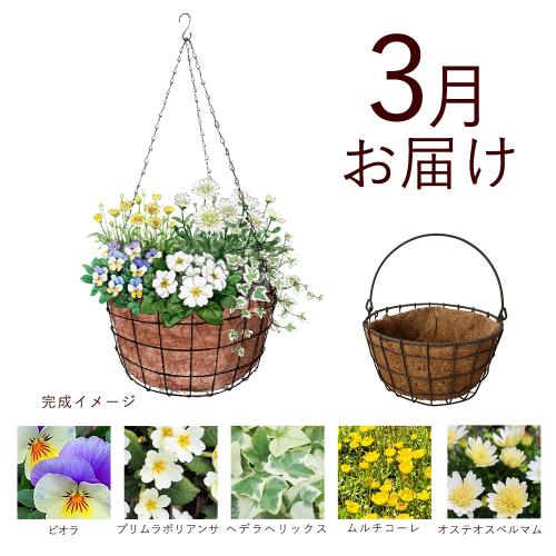 �y�H����n�߂邨�Ԃ̒���ցz �񂹐A���K�[�f���R�[�X�i2026�N10���`2027�N3���j6