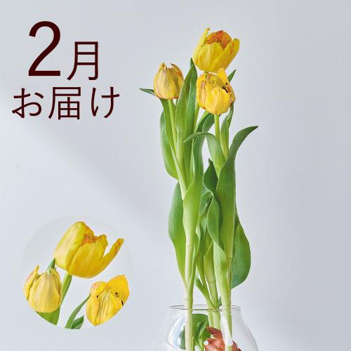�y�H����n�߂邨�Ԃ̒���ցz�o���u�t�����[�i�����j�R�[�X�i2026�N10���`2027�N3���j5