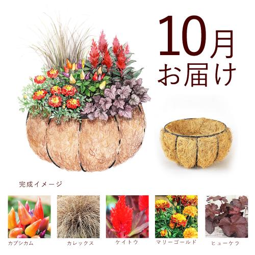 �y�H����n�߂邨�Ԃ̒���ցz�K�[�f�j���O�R�[�X�i������j�R�[�X�i2026�N10���`2027�N3���j