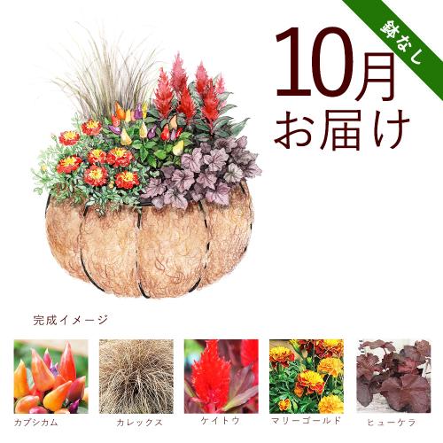 �y�H����n�߂邨�Ԃ̒���ցz�K�[�f�j���O�R�[�X�i���Ȃ��j�R�[�X�i2026�N10���`2027�N3���j