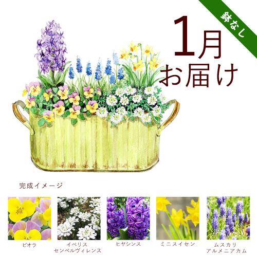 �y�H����n�߂邨�Ԃ̒���ցz�K�[�f�j���O�R�[�X�i���Ȃ��j�R�[�X�i2026�N10���`2027�N3���j4