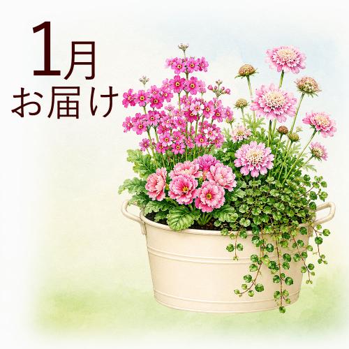 �y�H����n�߂邨�Ԃ̒���ցz�ԍ炭�}�C�K�[�f���R�[�X�i2026�N10���`2027�N3���j4