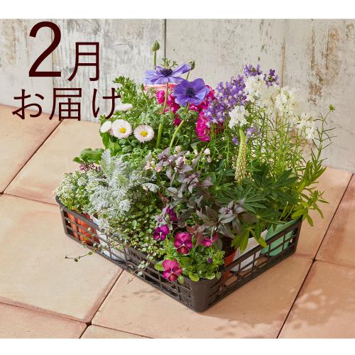 �y�H����n�߂邨�Ԃ̒���ցz���N���N�G�߂̉Ԃ����R�[�X�i2026�N10���`2027�N3���j5