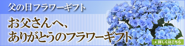 ���̓��t�����[�M�t�g �������񂢂����肪�Ƃ�