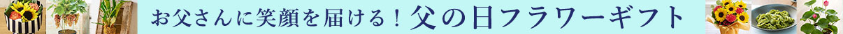 お父さんに笑顔を届ける！父の日フラワーギフト