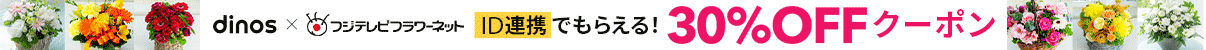 fBmXTCgICVbv~tWert[lbgł̂Ɏg邨ȃN[|v[gI