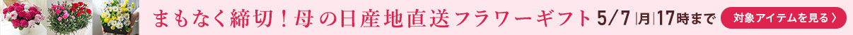 ̓Yn