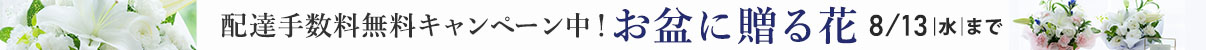~ɑԁ@zB萔Ly[
