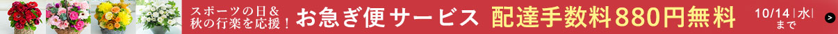 �H�̑��蕨�������I�u���}���փT�[�r�X�v�z�B�萔������