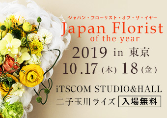 ���{�ԐE�t