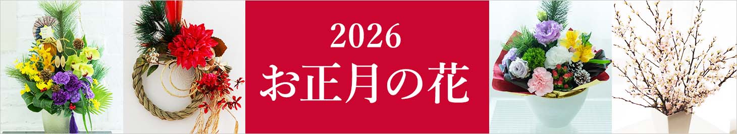 2025NW