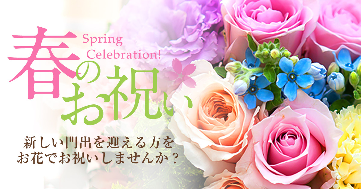 フジテレビフラワーネット母の日 可愛い赤系花束/B1368」| 花屋