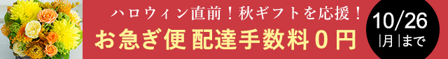 ���}���֔z�B�萔�������L�����y�[��